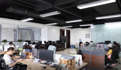 筑夢(mèng)成都 歸來仍少年 公園城市里的創(chuàng)業(yè)青年有話說